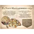 Imagine 2/5 - Cartographia - Ungaria - Harta istorica - Harta de perete puzzle 3D din lemn  - 70x42 cm - 5999570430056