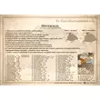 Imagine 3/5 - Cartographia - Ungaria - Harta istorica - Harta de perete puzzle 3D din lemn  - 100X66 cm - 5999570430049