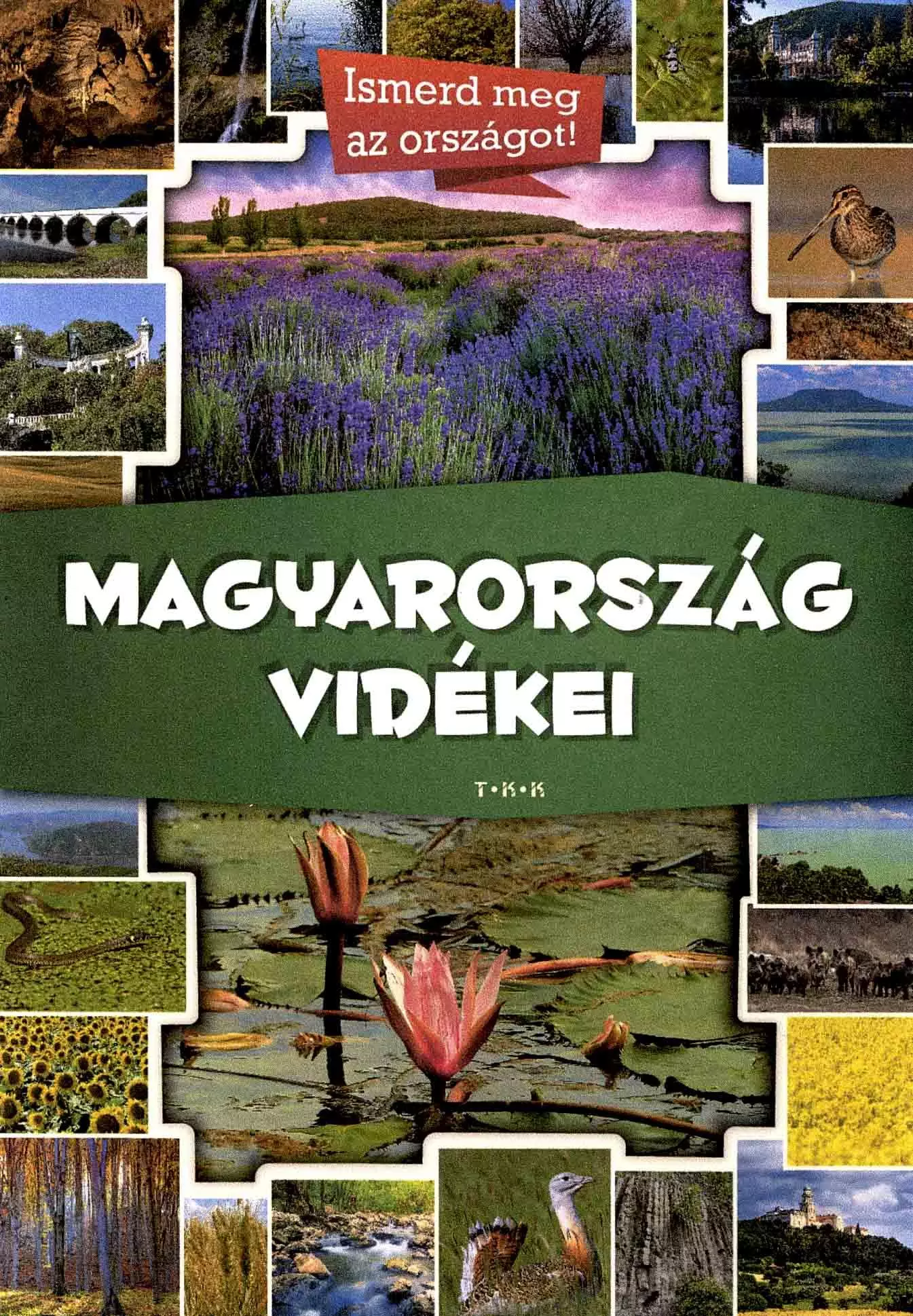 Peisaje rurale a Ungariei - Elektra